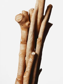 Adaptogens